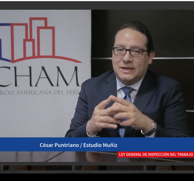 AmCham Rulings: ley general de inspección de trabajo