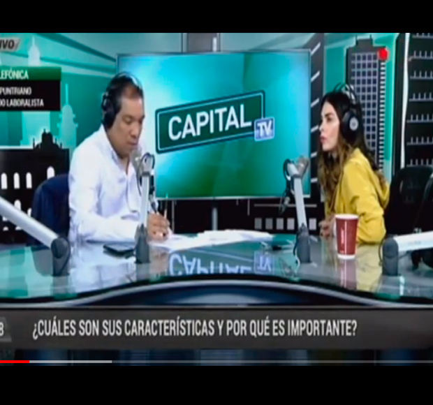 Empleo adecuado: ¿Cuáles son sus características?