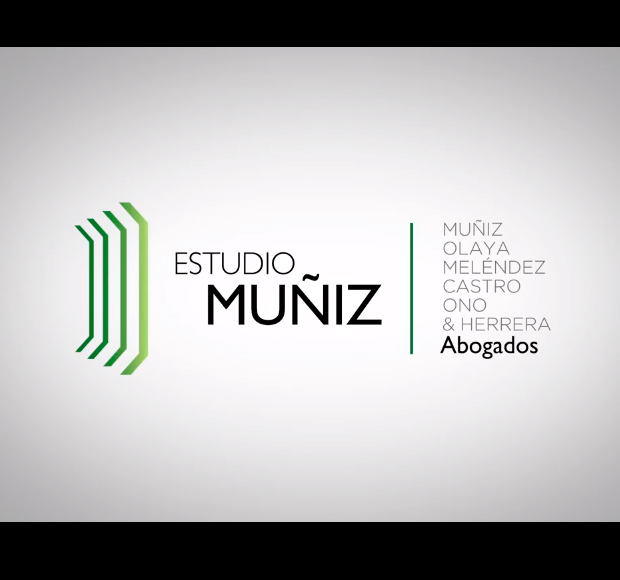 Estudio Muñiz web